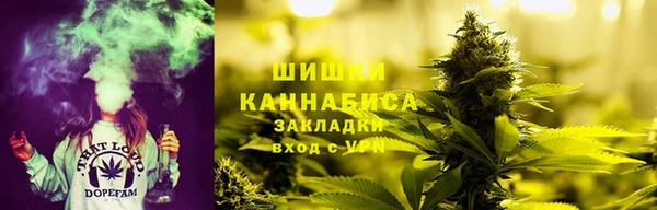 тгк Богданович