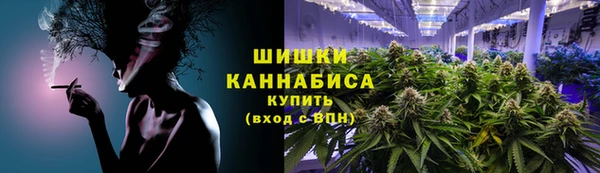 соль ск Богородск