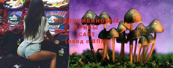 тгк Богданович